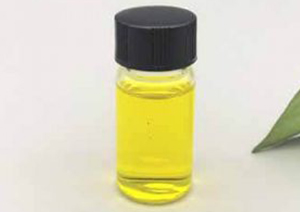 Onion Oil CAS 8002-72-0